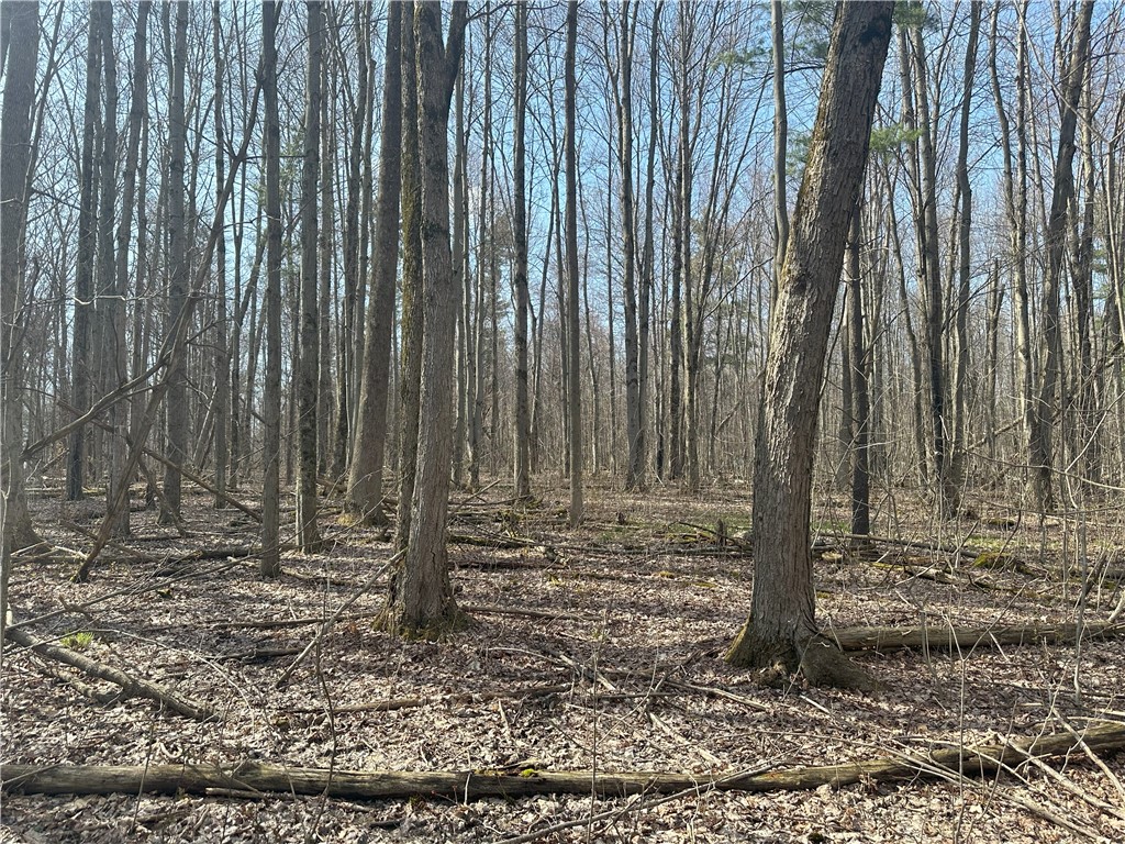 Gulick Road Naples, NY 14512 - Photo 9 of 19