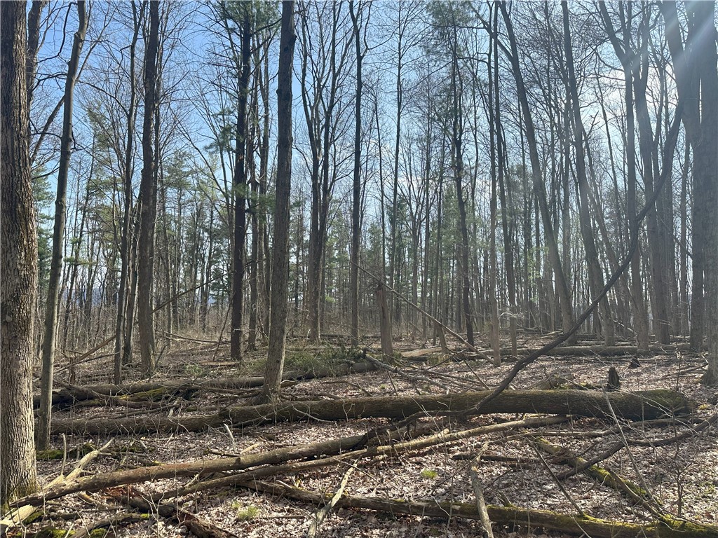 Gulick Road Naples, NY 14512 - Photo 10 of 19