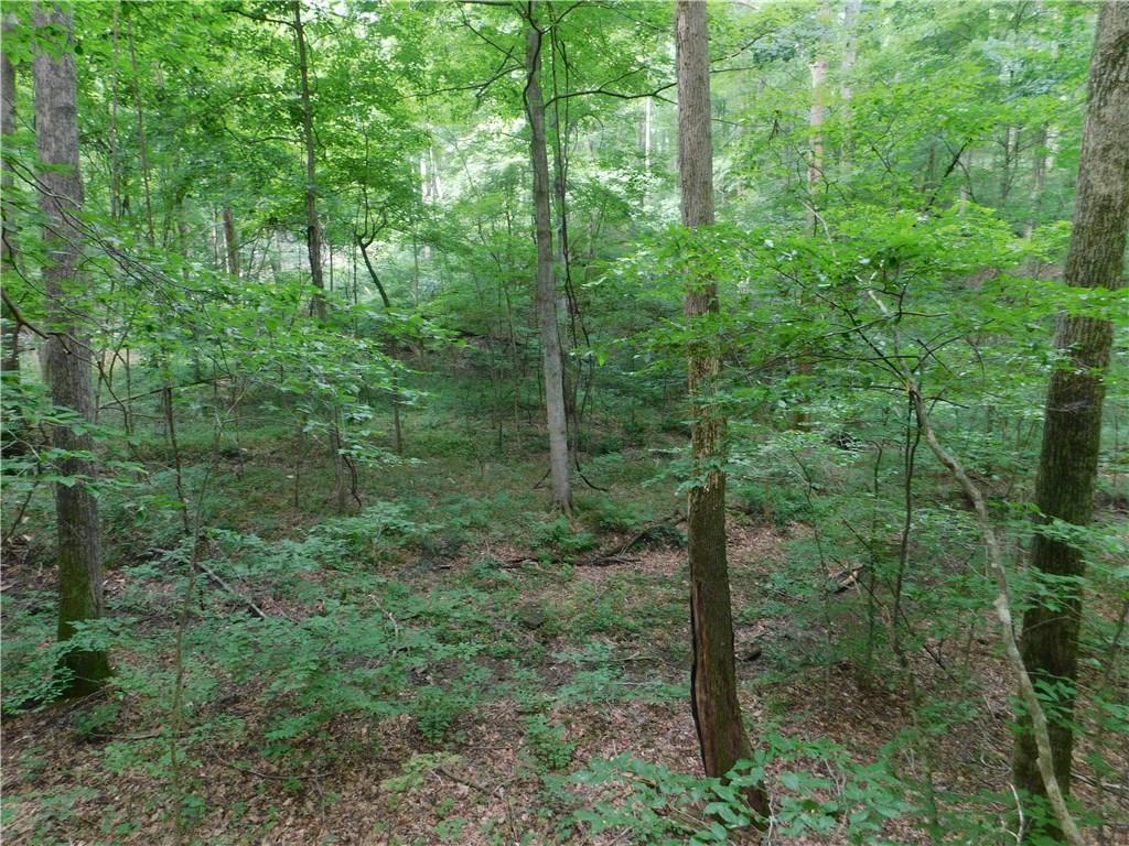 7379 Mt Moriah Road Nineveh, IN 46164 - Photo 10 of 12 Gallery Image 10