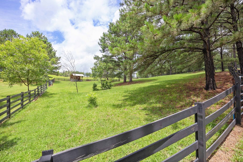 1380 Pritchett Road Fortson, GA 31808 - Photo 77 of 83
