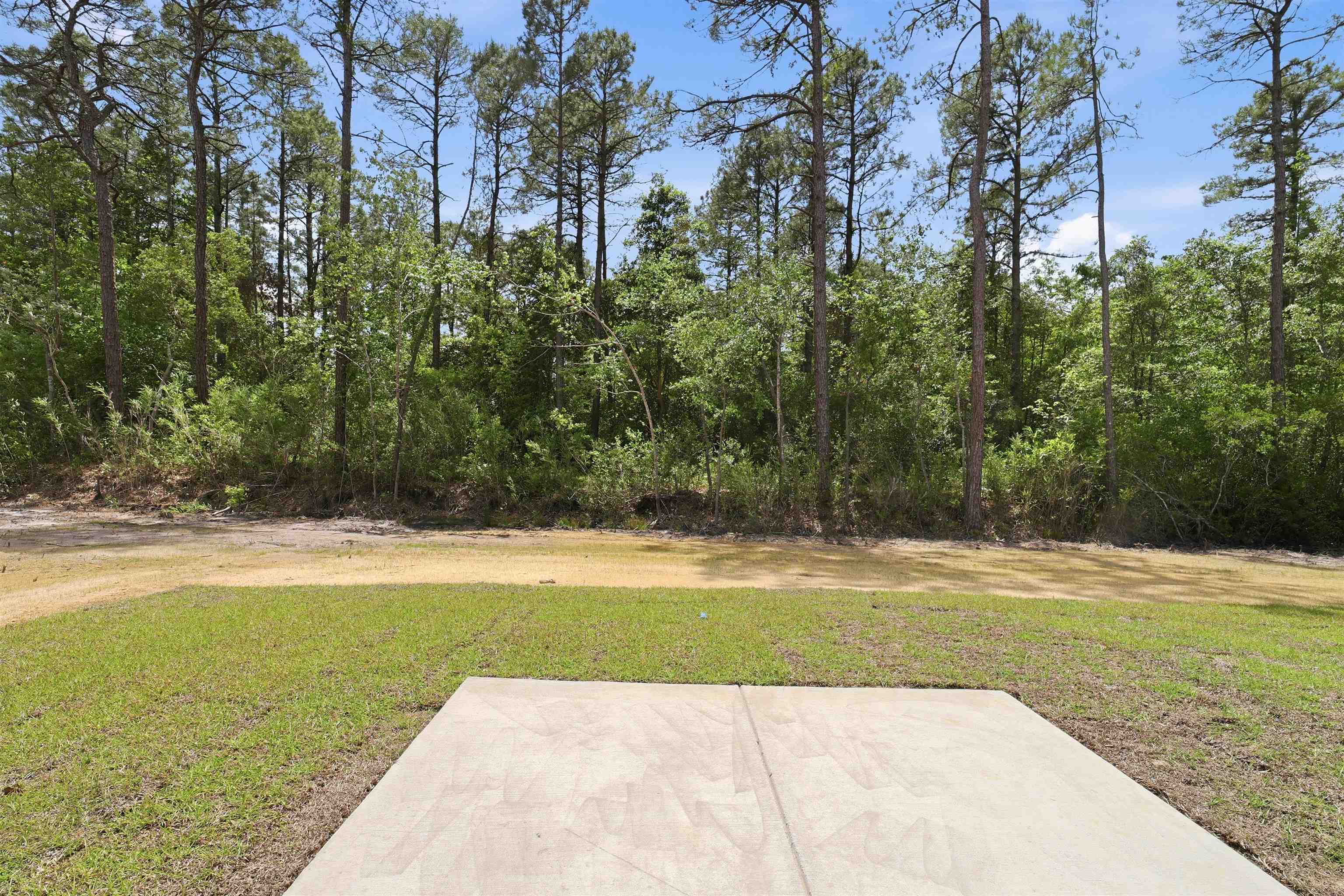 116 Violet Way Loris, SC 29569 - Photo 23 of 33