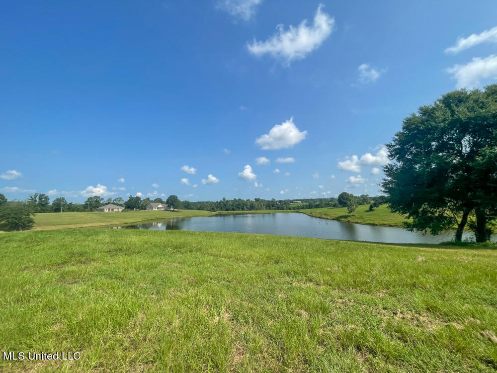 Lot 11 Conner Stringer Drive Lucedale, MS 39452 - Photo 46 of 54 IMG_2317