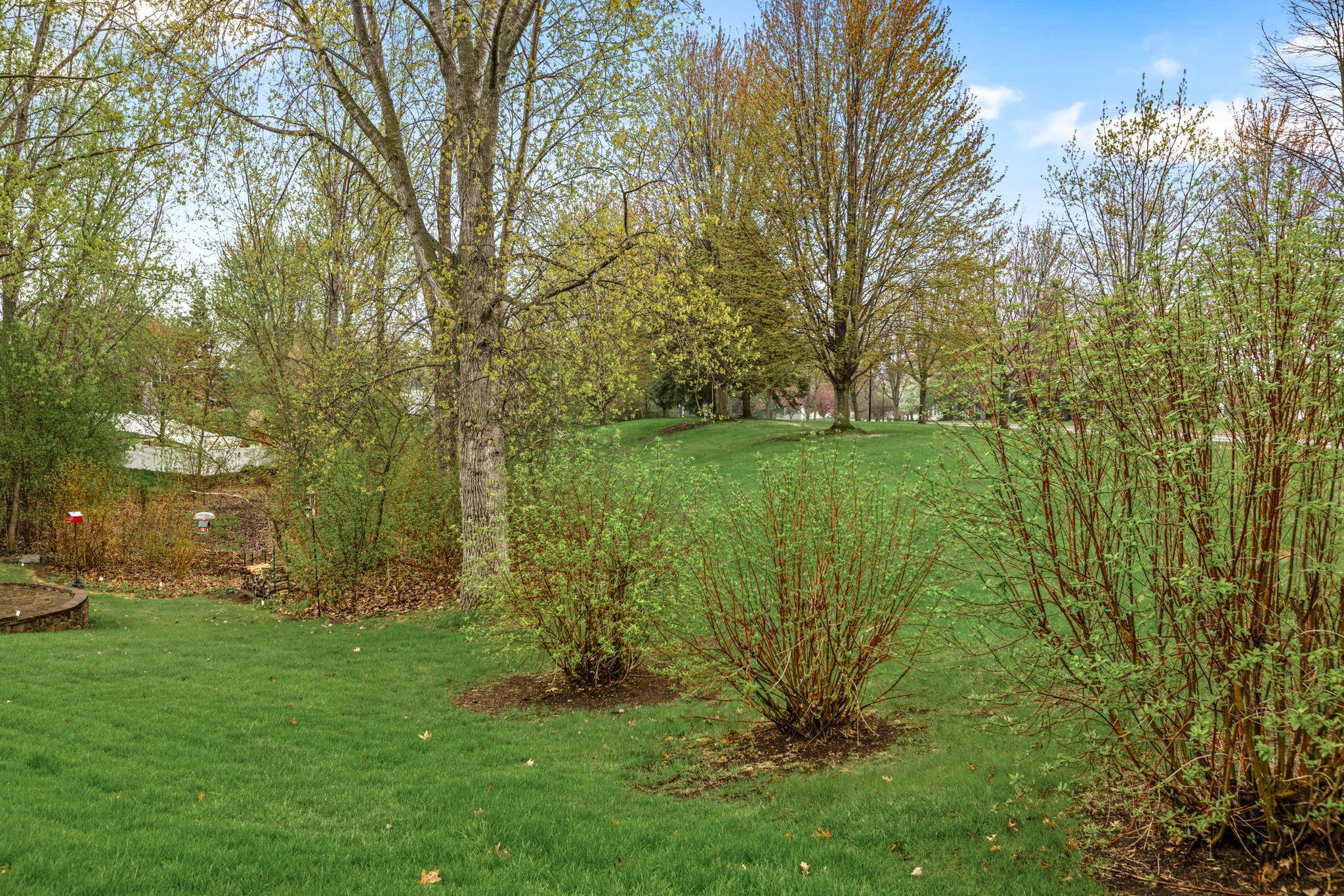 14351 Bentley Way Rosemount, MN 55068 - Photo 25 of 31