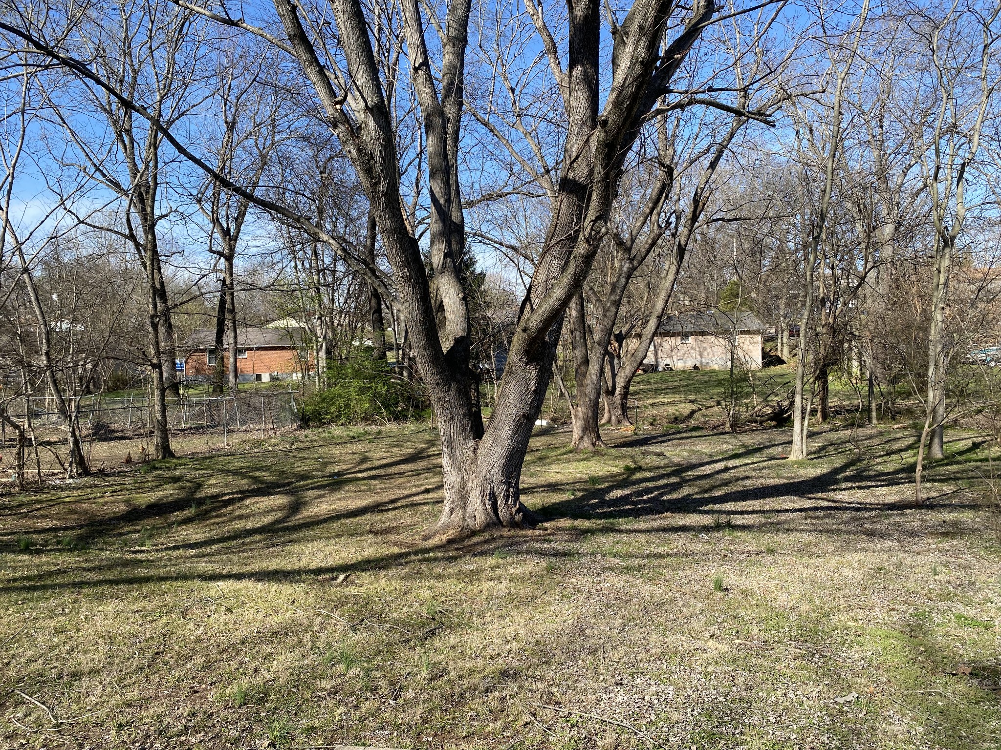 245 Raintree Drive Clarksville, TN 37042 - Photo 32 of 33 a view of a backyard of the house