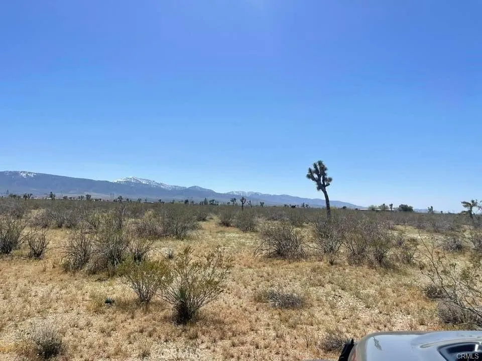 0 Dos Palmas Road Pinon Hills, CA 92372 - Photo 16 of 18