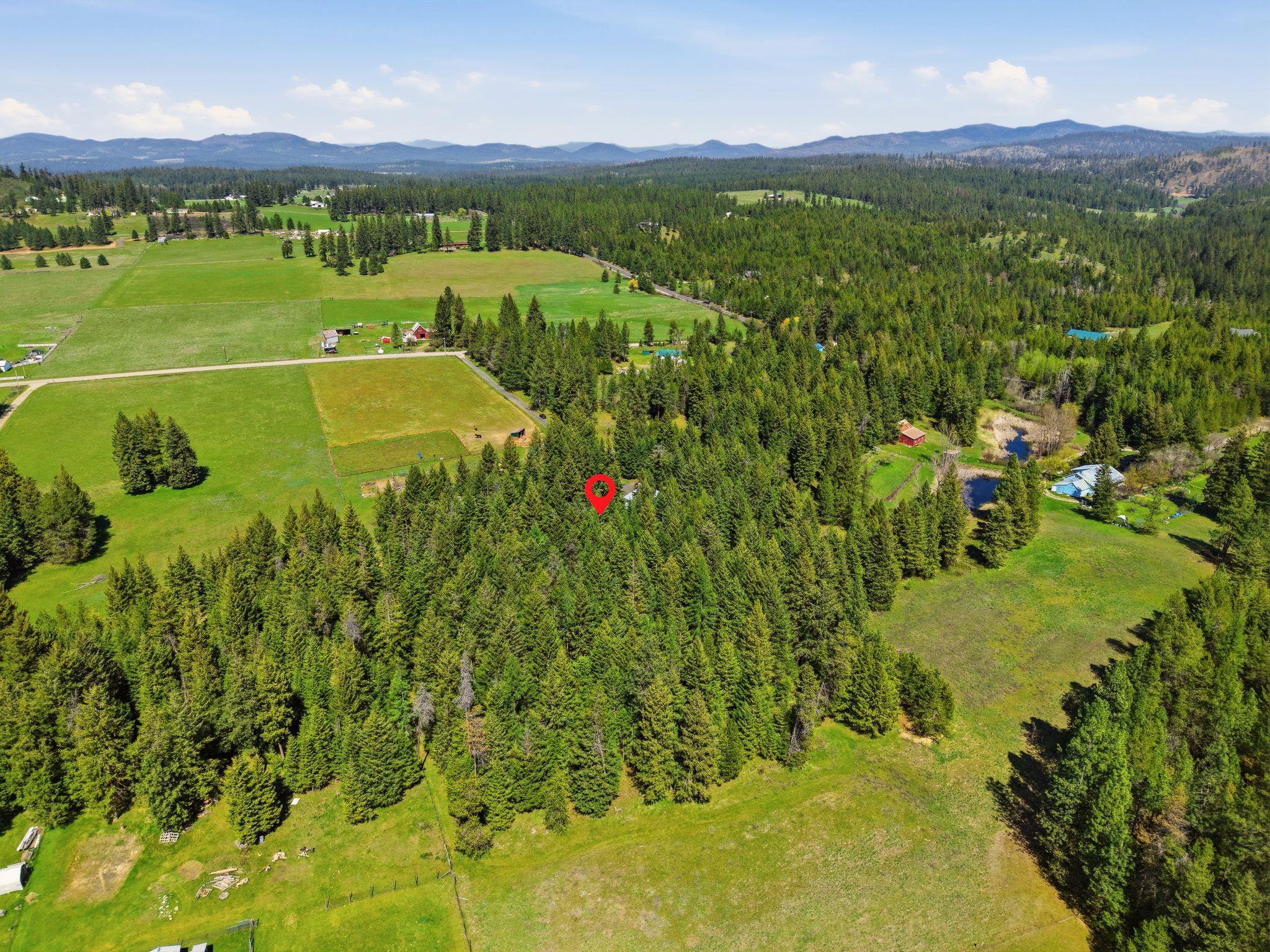 10420 East Dunn Road Chattaroy, WA 99003 - Photo 49 of 50 Gallery Image 49