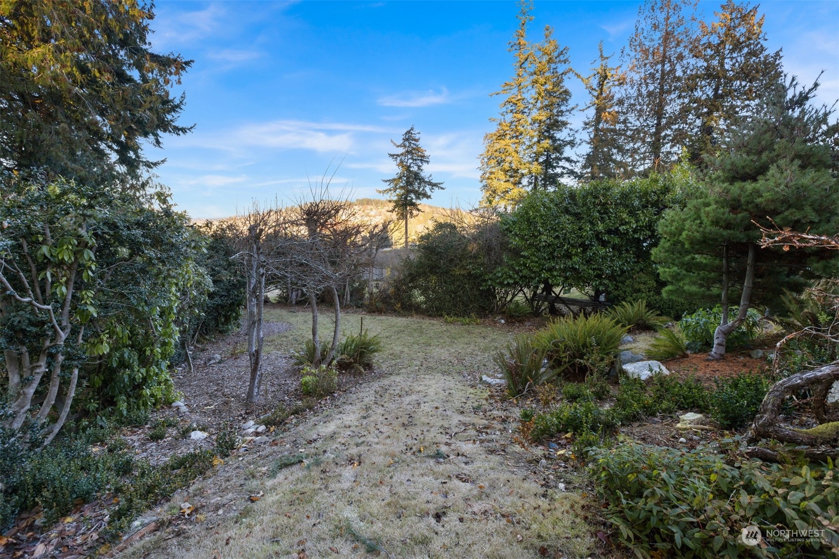 131 Hawthorn Road Bellingham, WA 98225 - Photo 37 of 40 a view of a lush green forest with lots of trees