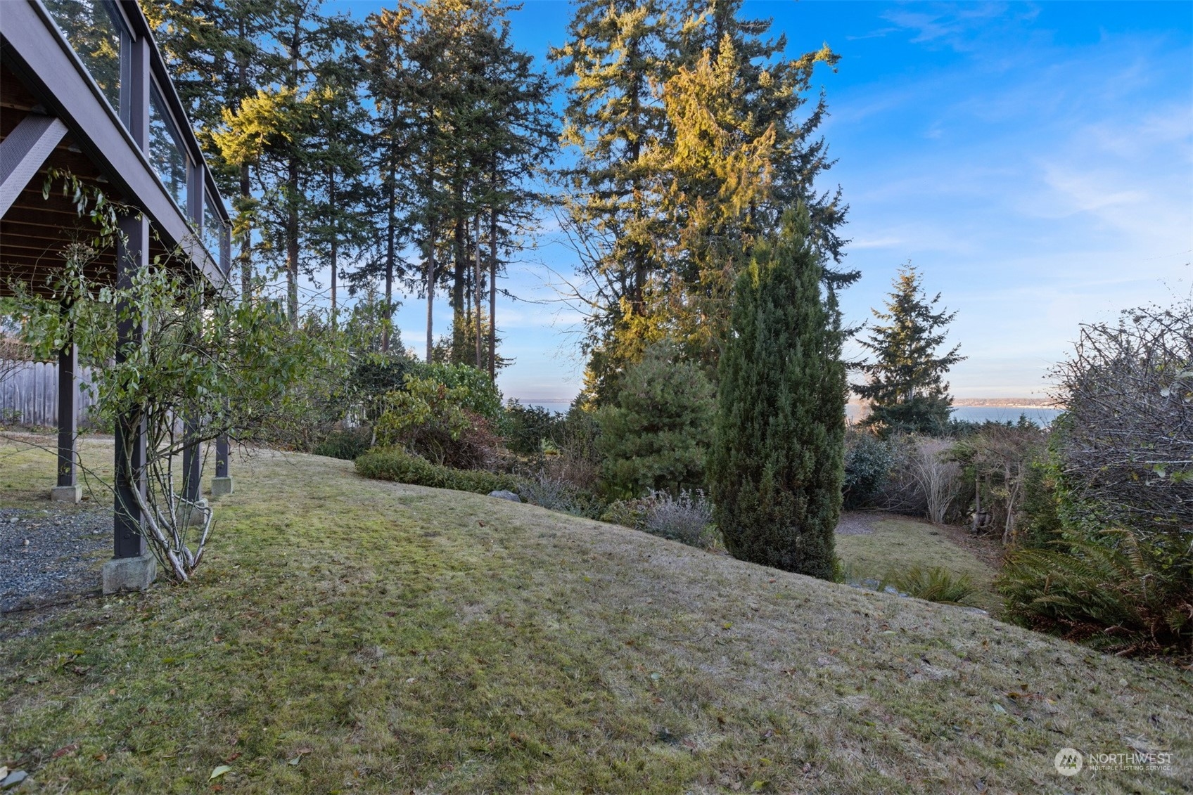 131 Hawthorn Road Bellingham, WA 98225 - Photo 38 of 40 a view of a yard with plants and trees