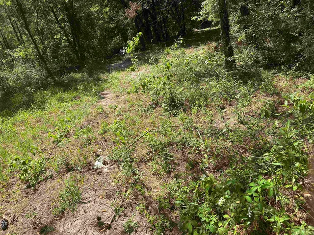 $83,350 | Xxx Serenity Lane, Quincy, FL 32351