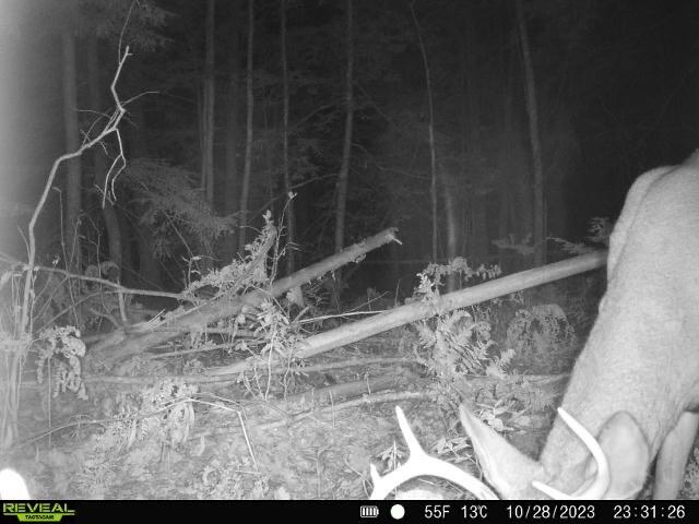 16 Beach View Road Dover-Foxcroft, ME 04426 - Photo 53 of 56 IMG_6005