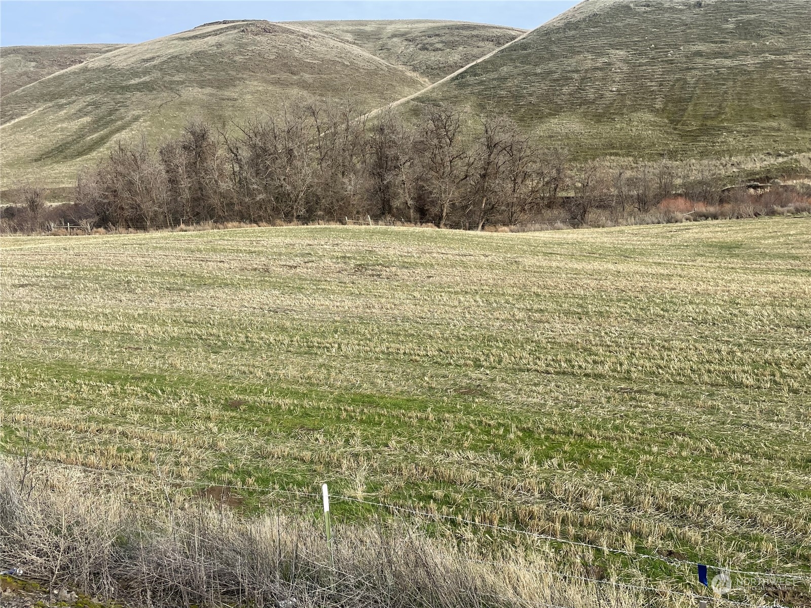 0 Kellogg Hollow Road Dayton, WA 99328 - Photo 4 of 4