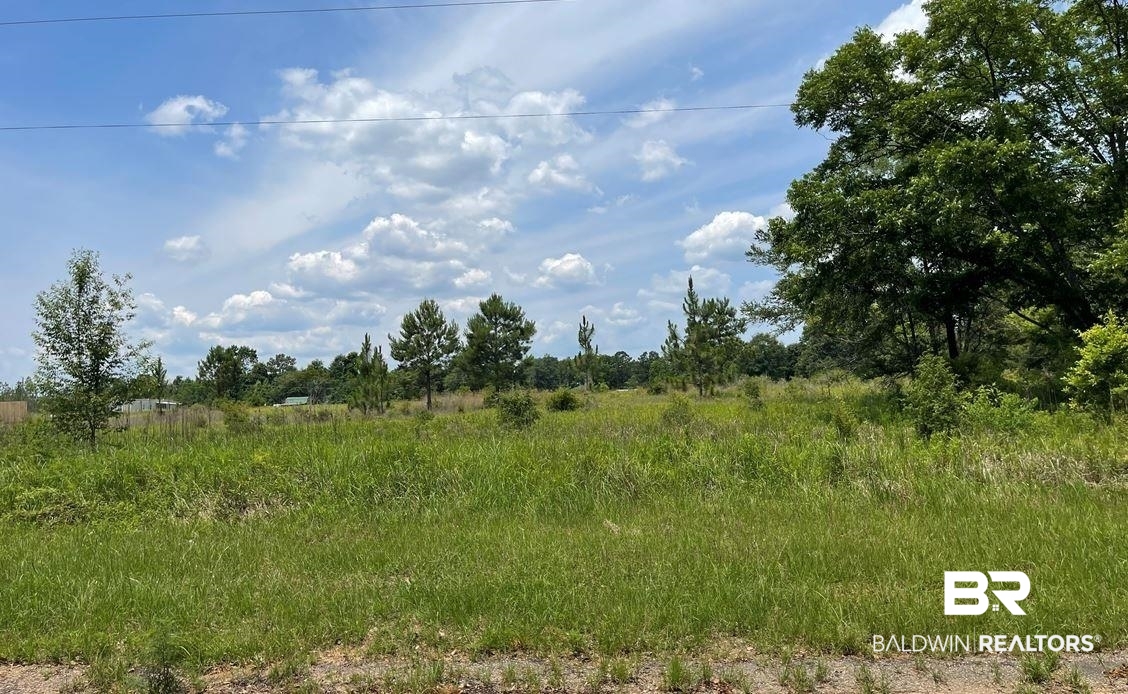 0 McCovery Rd Extension Mobile, AL 36695 - Photo 1 of 3