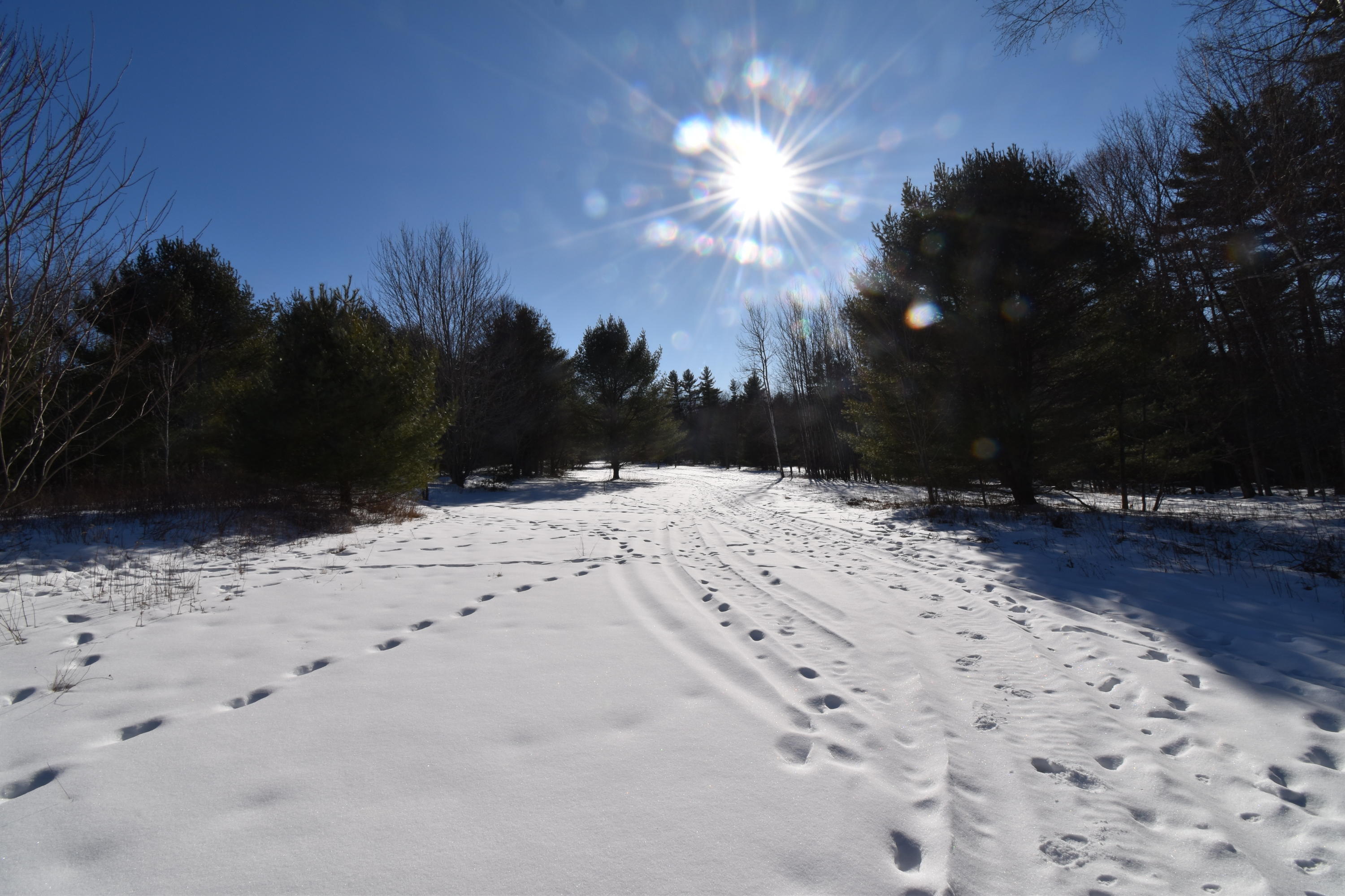 360 Watson Heights Road Kents Hill, ME 04349 - Photo 68 of 77 DSC_0350