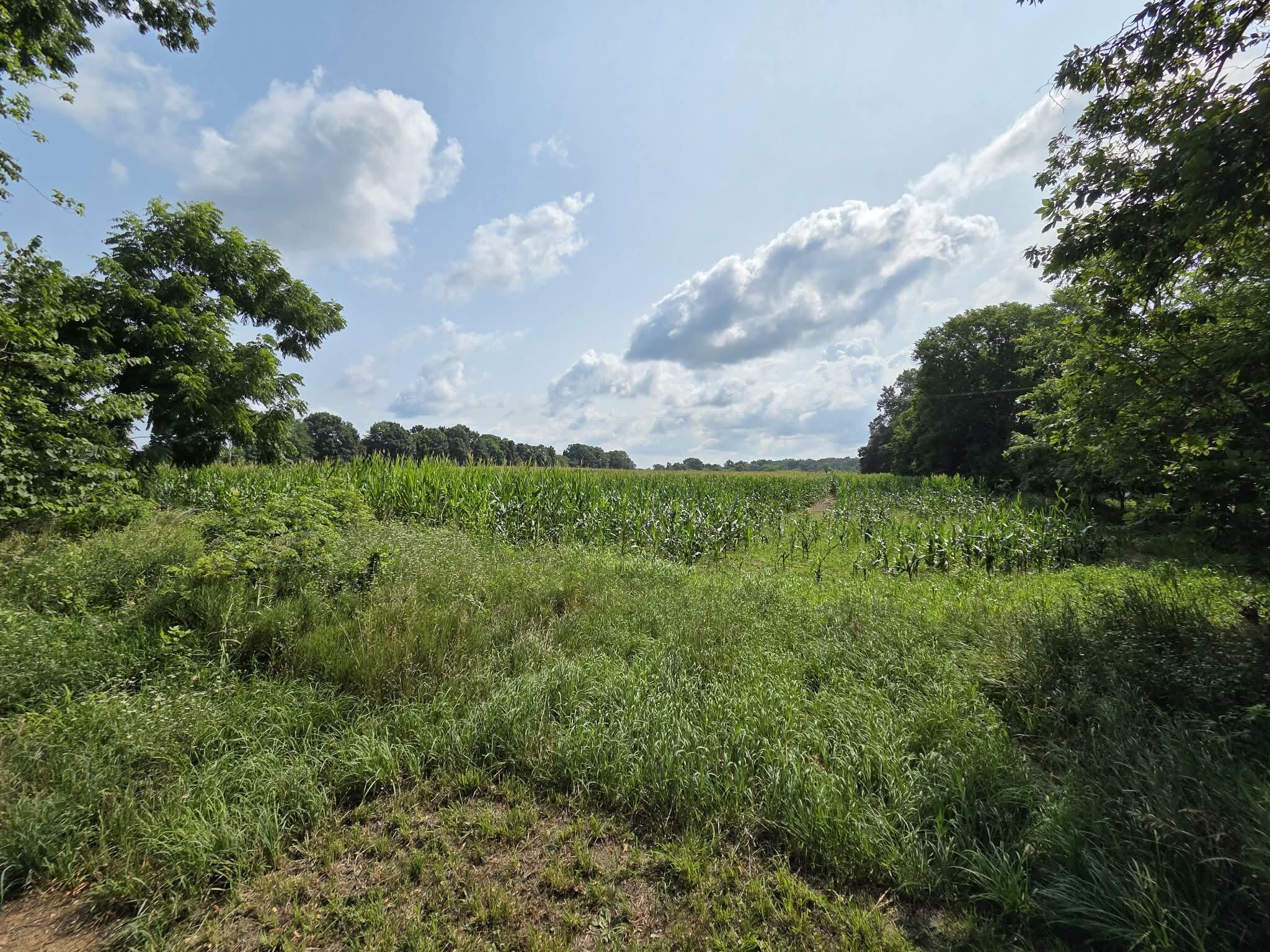 13 Mile Road Tekonsha, MI 49092 - Photo 1 of 7 parcel5
