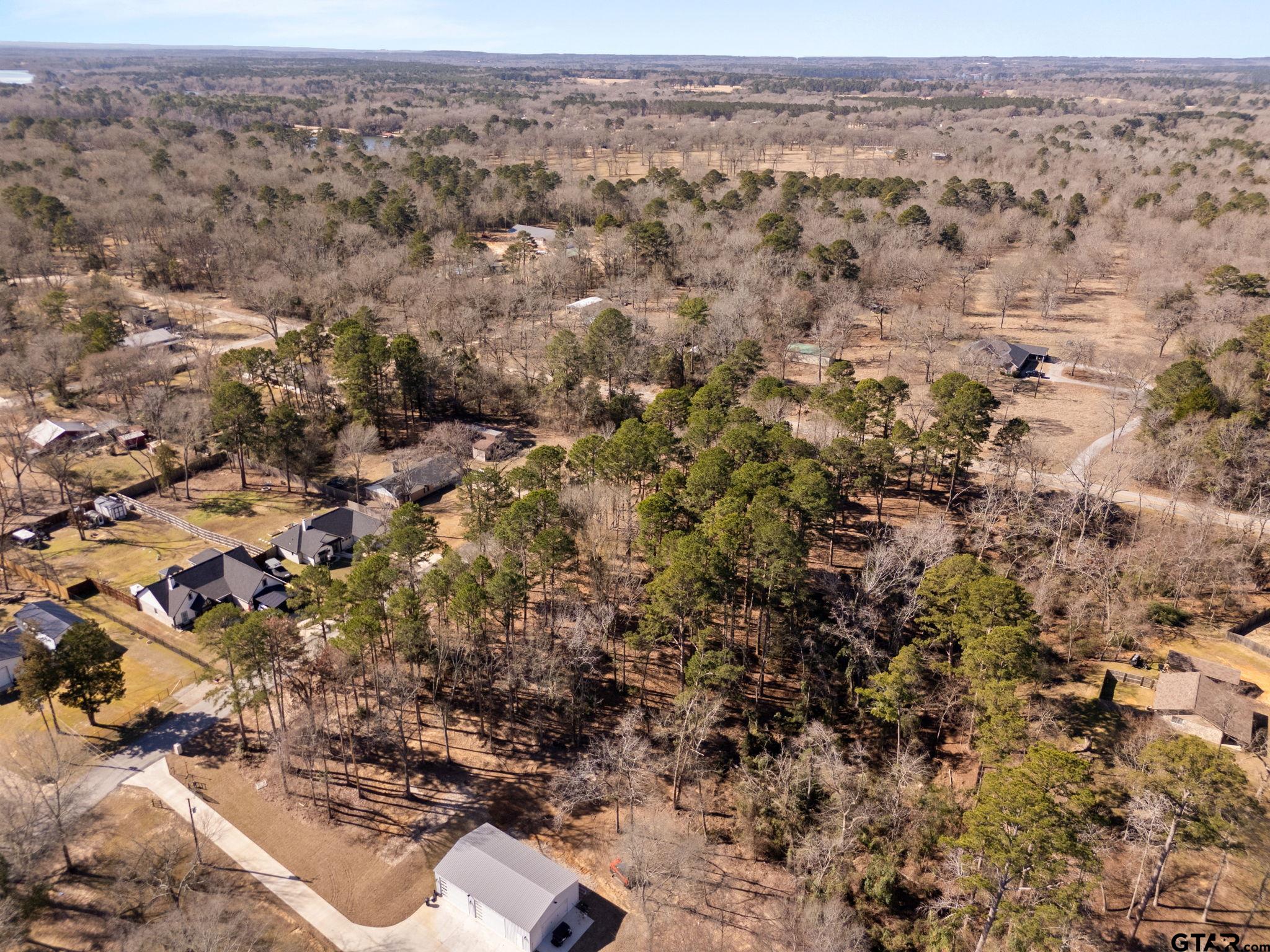 Tbd Tbd Wilson Road Tyler, TX 75707 - Photo 12 of 13 an aerial view of house with yard and mountain view in back