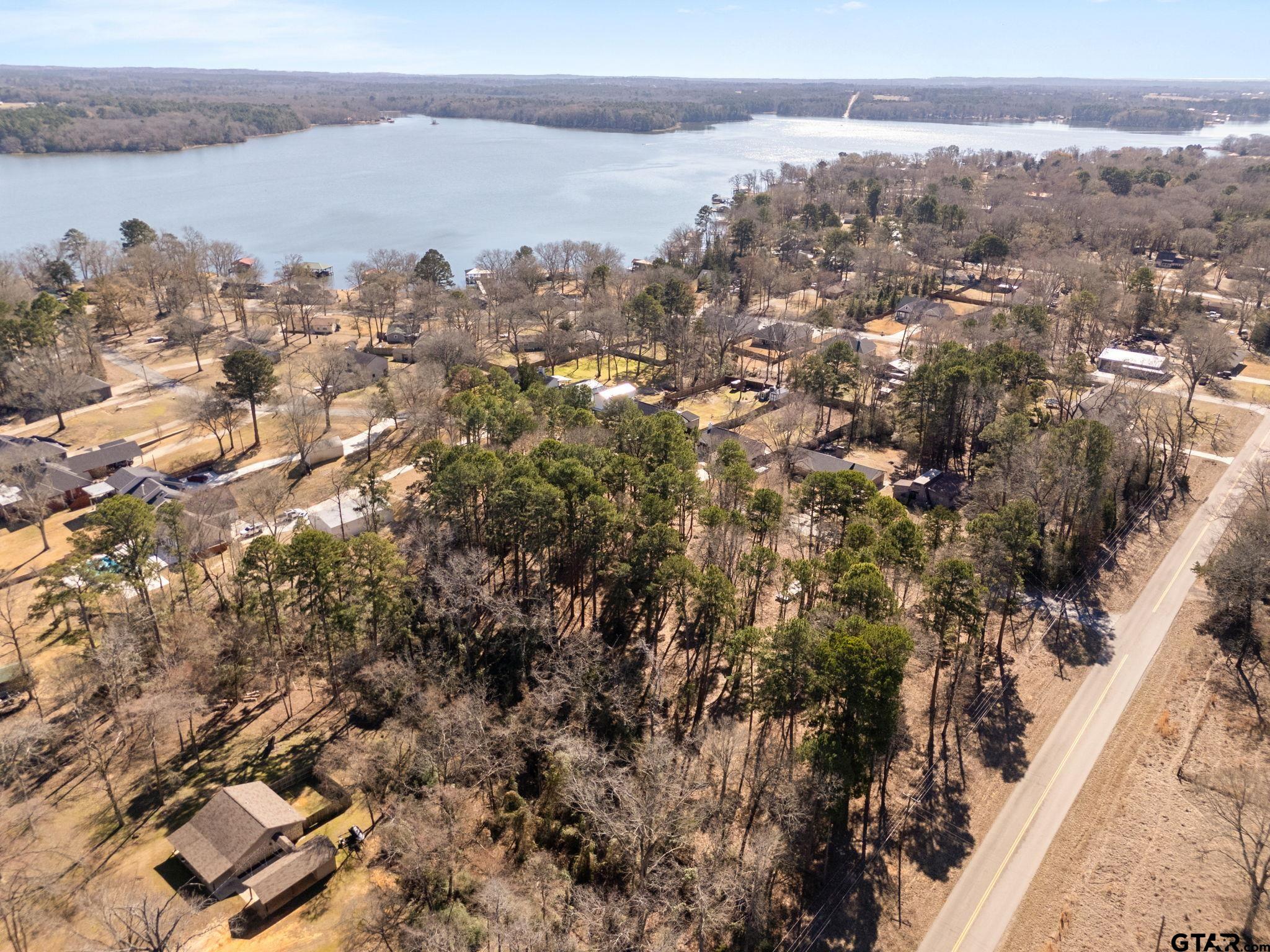 Tbd Tbd Wilson Road Tyler, TX 75707 - Photo 13 of 13 a view of lake and mountain