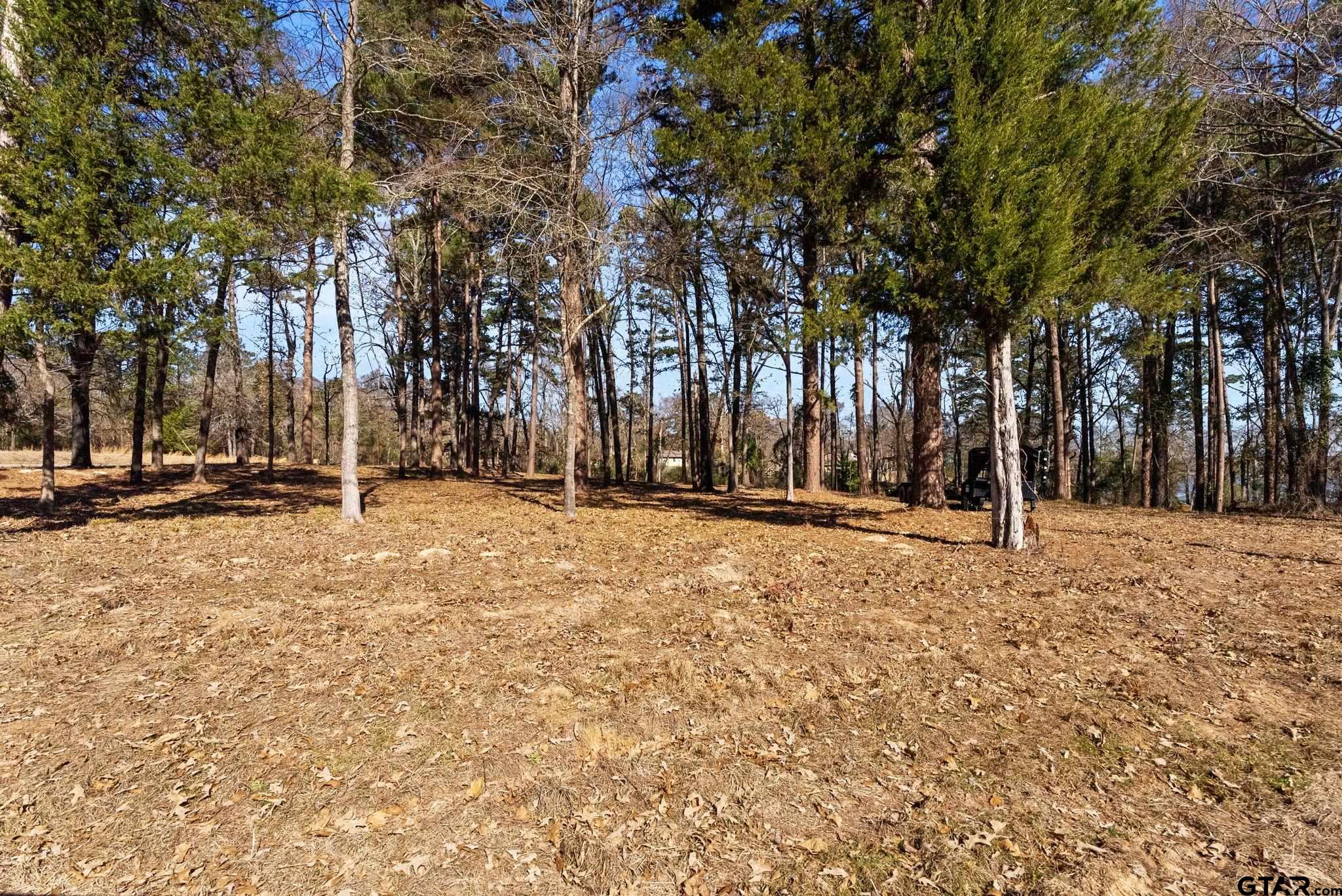 Tbd Tbd Wilson Road Tyler, TX 75707 - Photo 2 of 13 a row of trees with snow on the side of the road