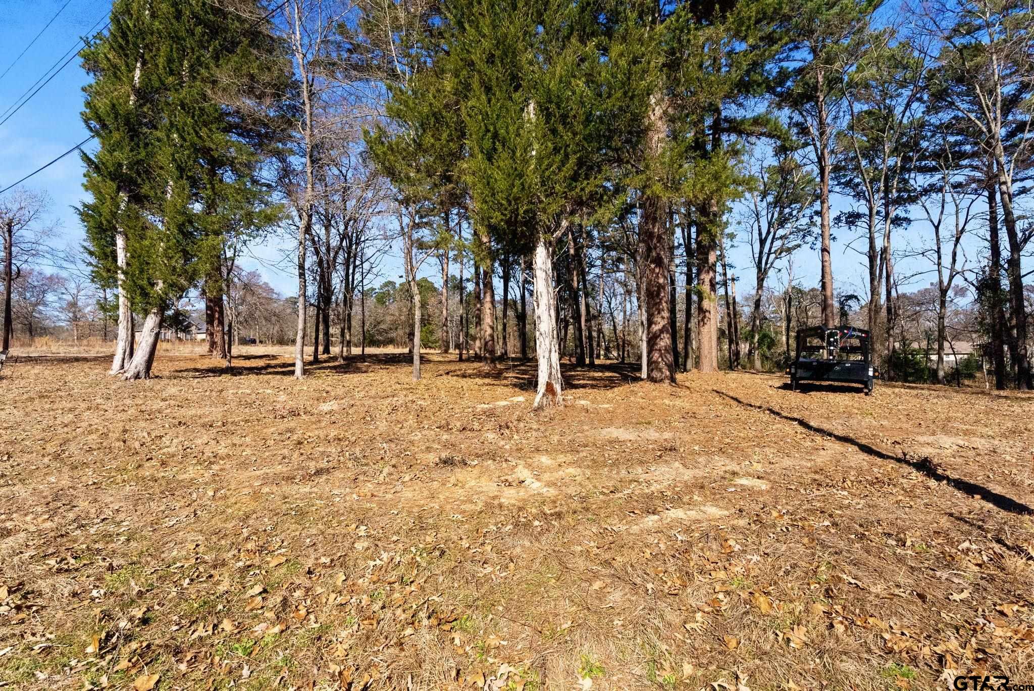 Tbd Tbd Wilson Road Tyler, TX 75707 - Photo 3 of 13 a view of road with trees