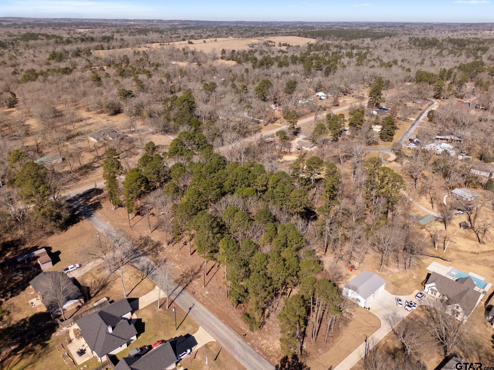 Tbd Tbd Wilson Road Tyler, TX 75707 - Photo 6 of 13 a view of city and mountain