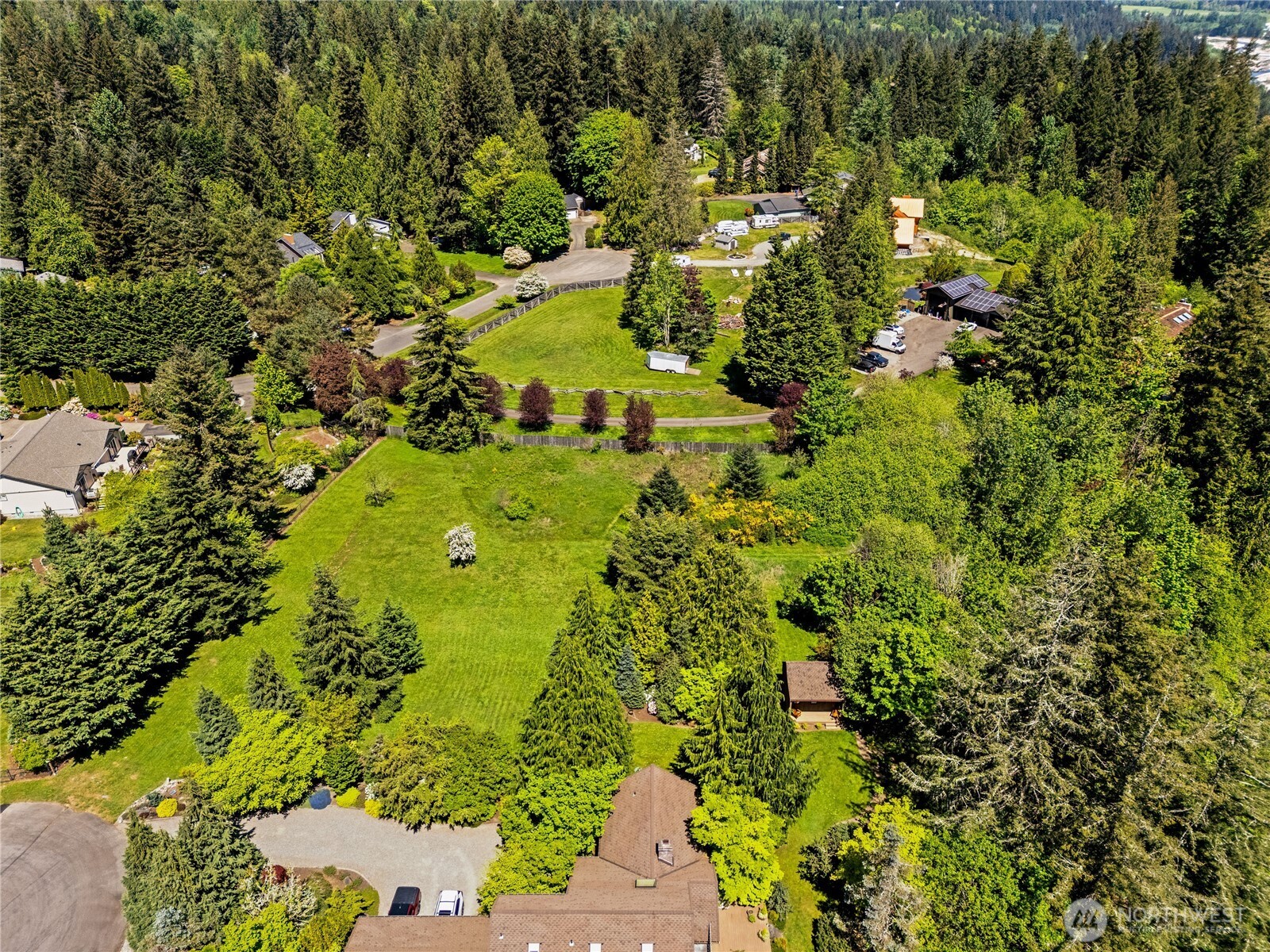 23421 Rim Road Graham, WA 98338 - Photo 11 of 21 a view of a yard with plants and large trees