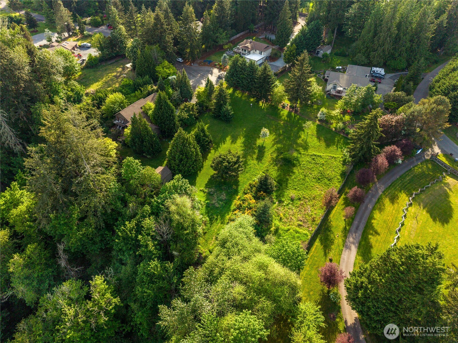 23421 Rim Road Graham, WA 98338 - Photo 21 of 21 a view of a tree
