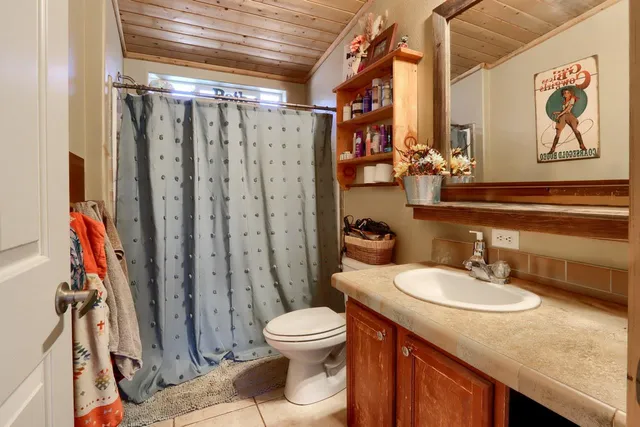 a bathroom with a sink a toilet and shower curtain