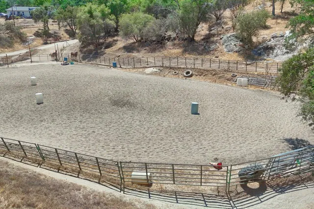 a view of a yard with a tree