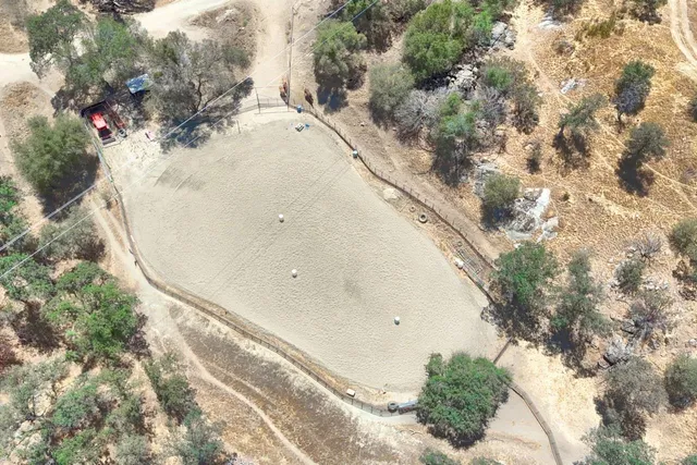a view of a yard with a tree