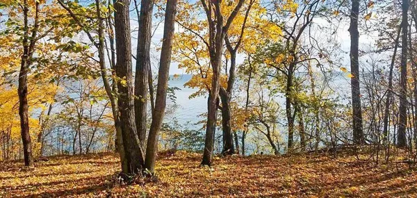 $165,000 | Tbd Lot 19 Tbd Trail, Cass Lake, MN 56633