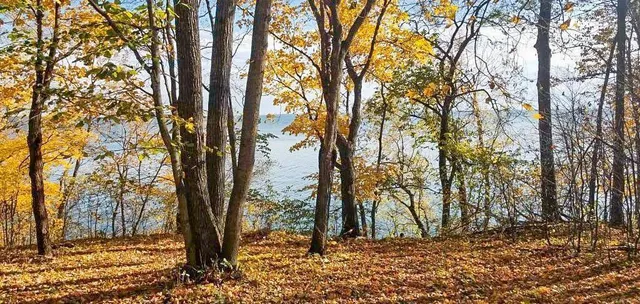 $165,000 | Tbd Lot 19 Tbd Trail, Cass Lake, MN 56633