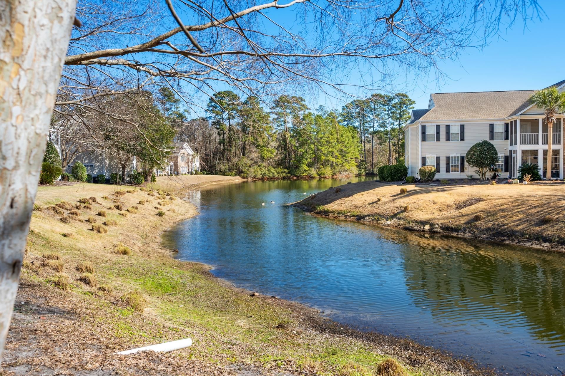 4665 Fringetree Drive, Unit 5E Murrells Inlet, SC 29576 - Photo 22 of 22