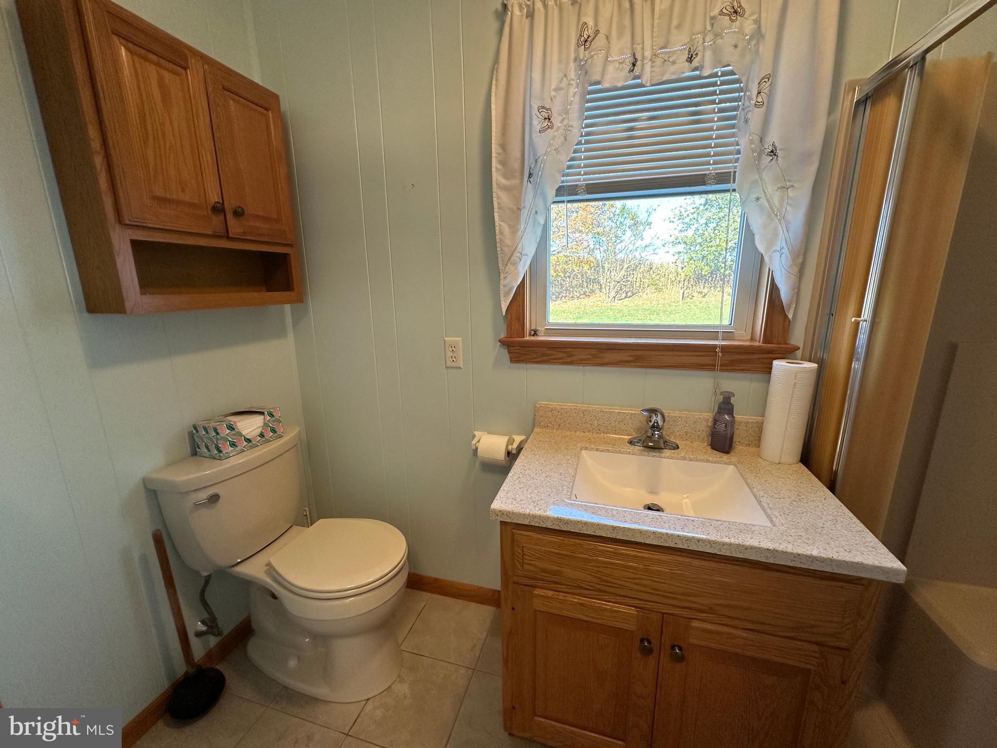 236 Bullshead Road Newville, PA 17241 - Photo 101 of 140 a bathroom with a toilet a sink and a window