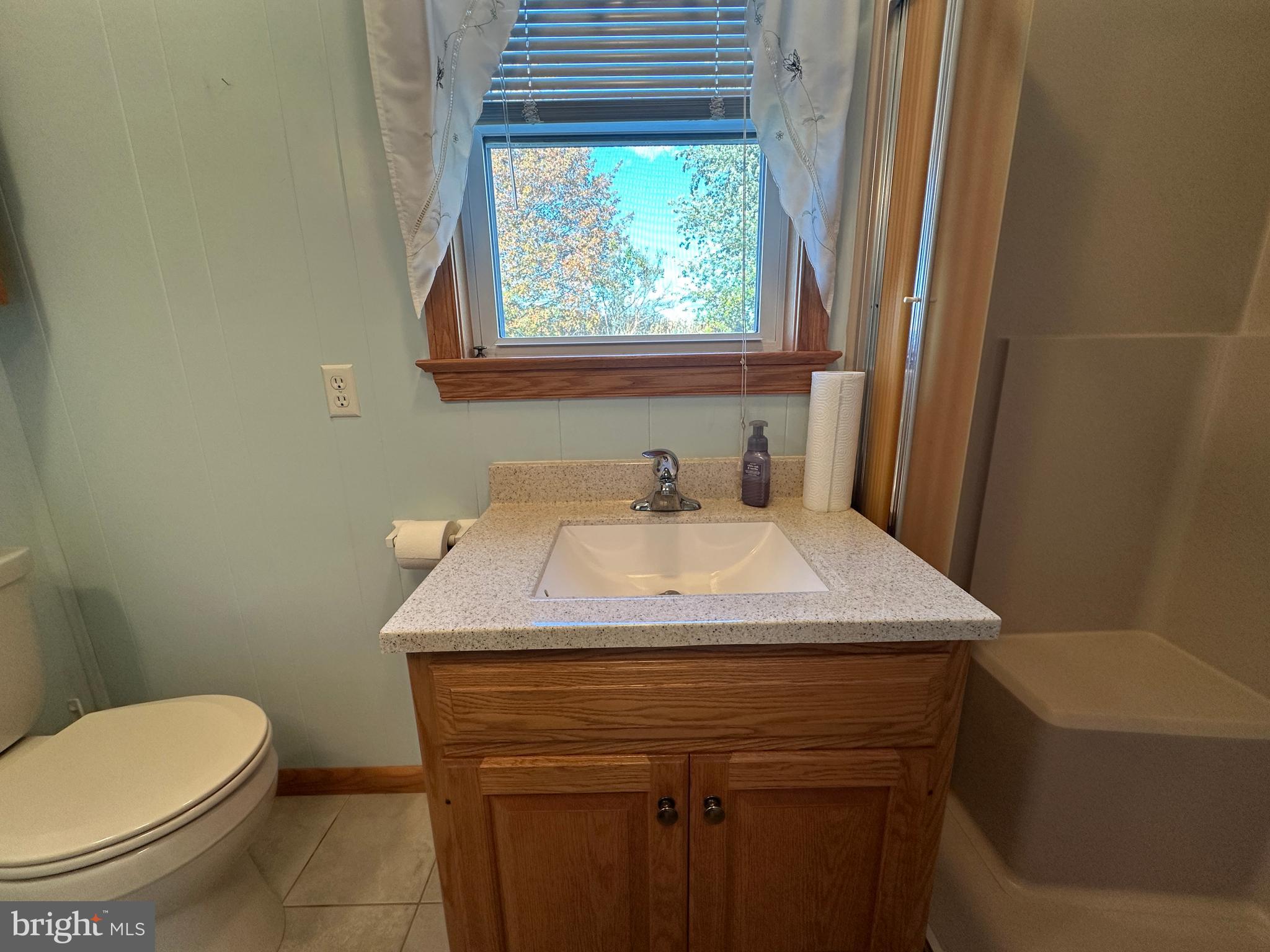 236 Bullshead Road Newville, PA 17241 - Photo 103 of 140 a bathroom with a sink a toilet and a window