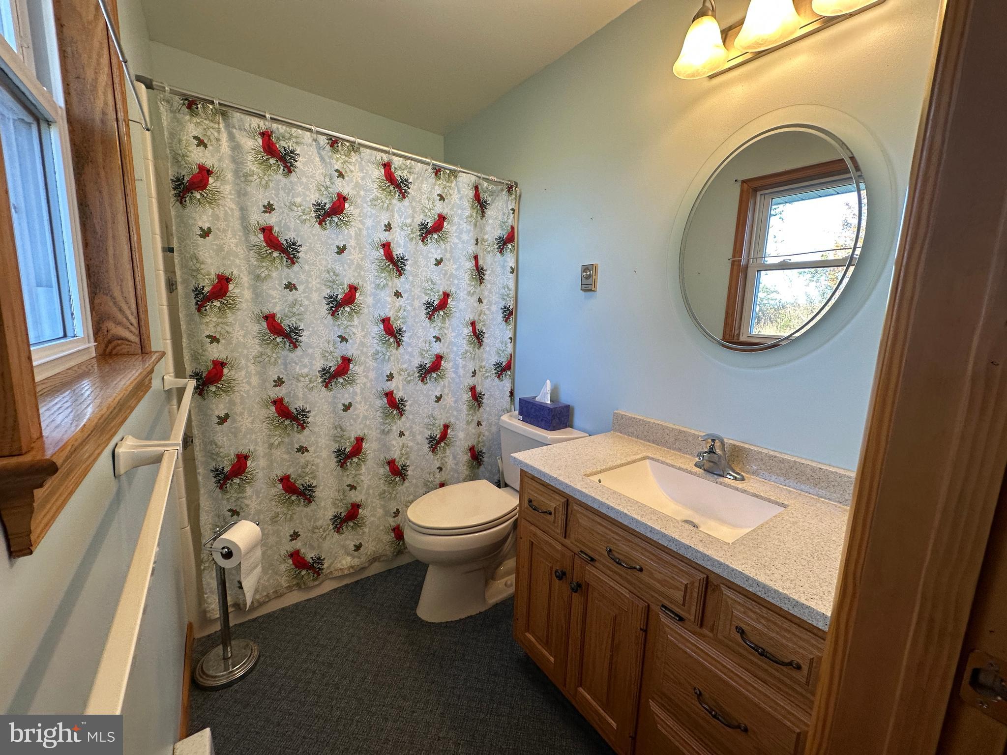 236 Bullshead Road Newville, PA 17241 - Photo 82 of 140 a bathroom with a granite countertop toilet and a sink