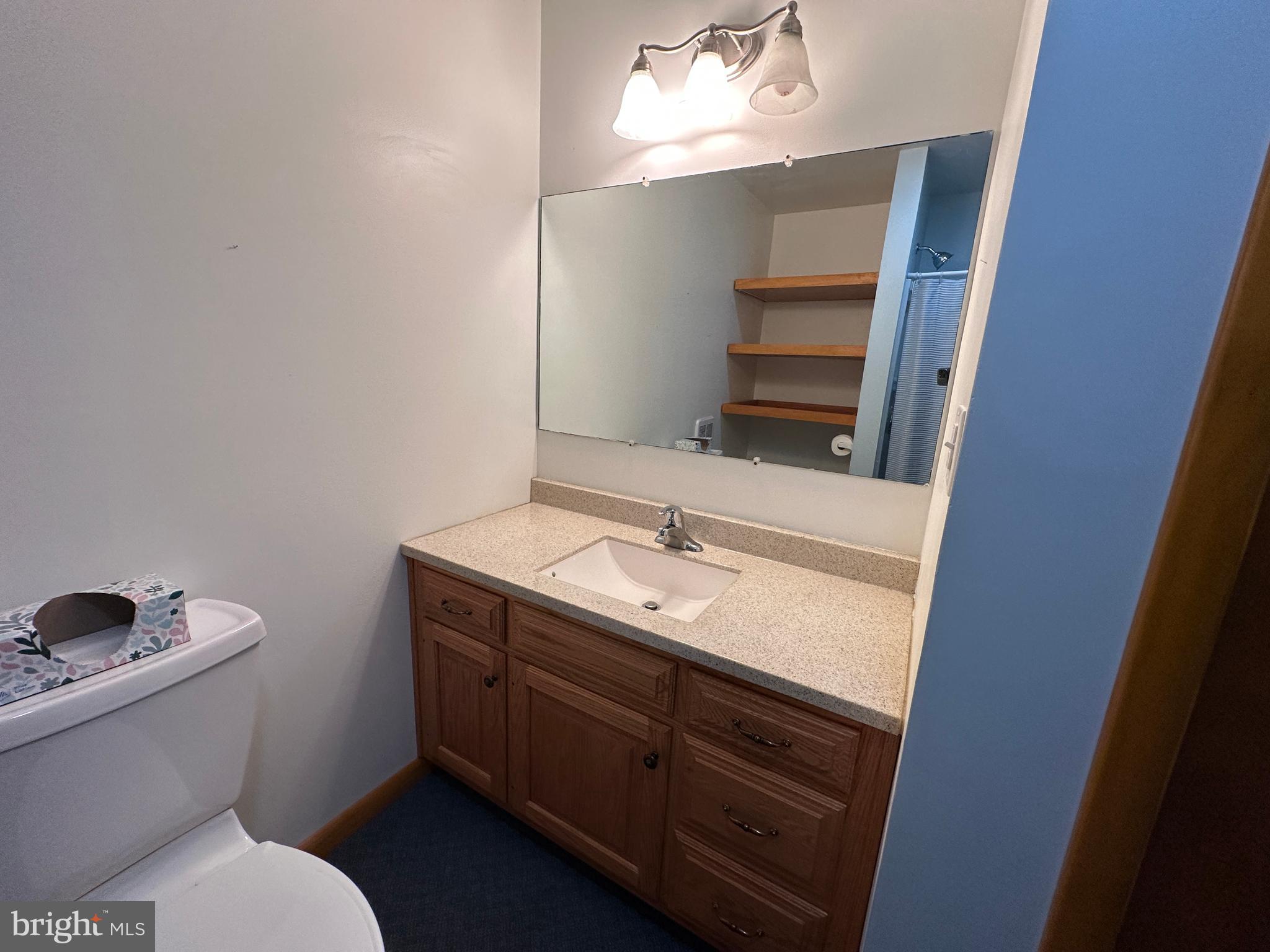 236 Bullshead Road Newville, PA 17241 - Photo 93 of 140 a bathroom with a sink toilet and mirror