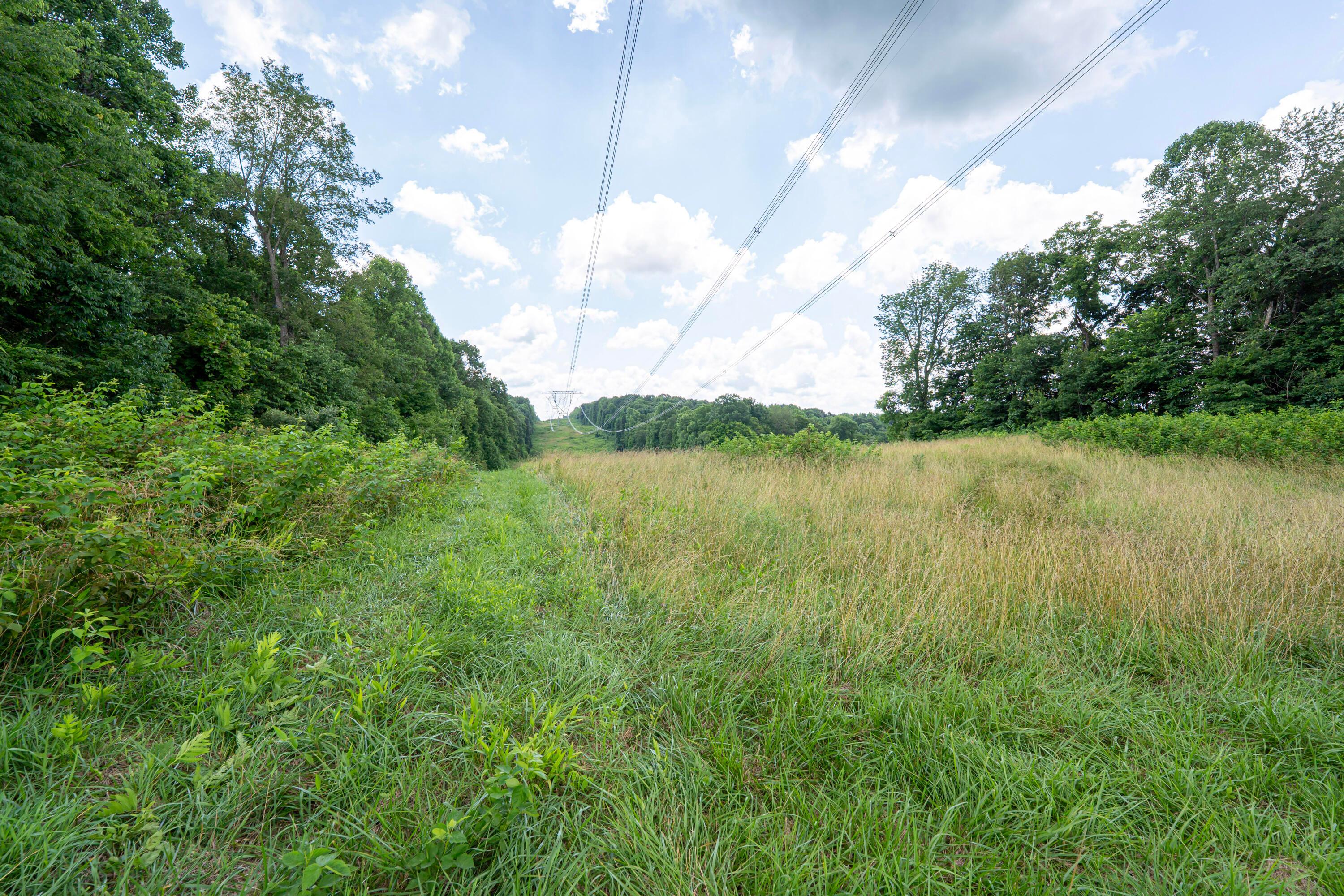 62130 Locker Plant Road McArthur, OH 45651 - Photo 46 of 47 DSC02532