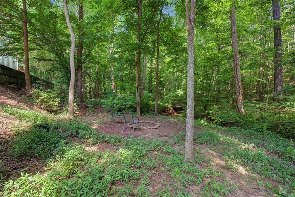 178 Mountain Vista Boulevard Canton, GA 30115 - Photo 47 of 53