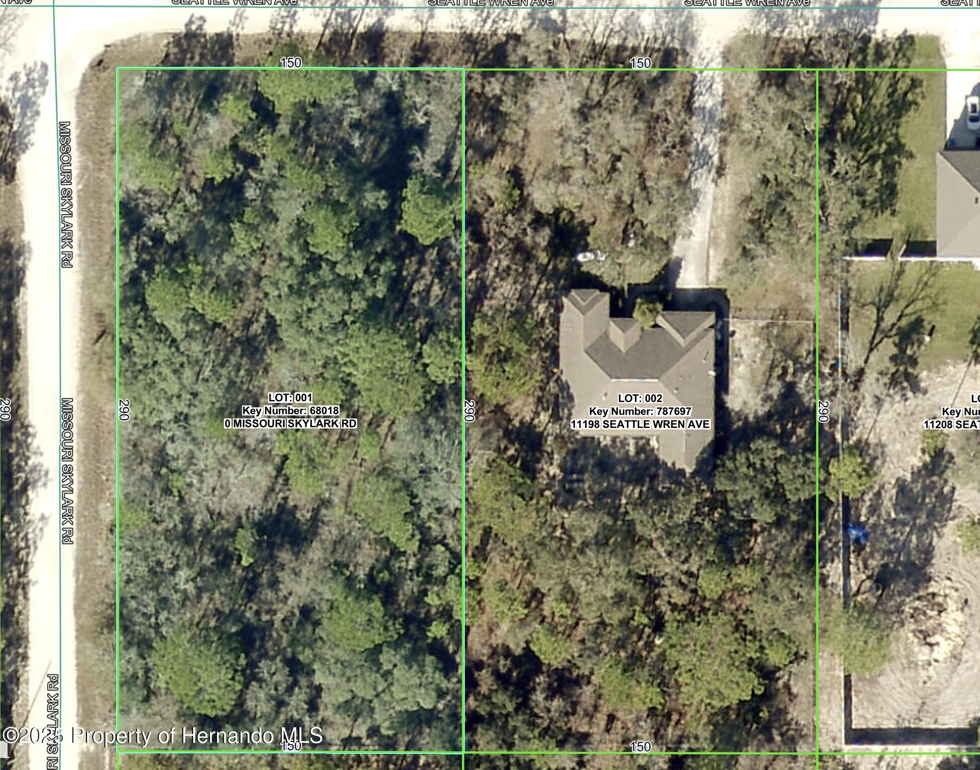 Lot 1 Missouri Skylark Road Weeki Wachee, FL 34614 - Photo 2 of 10