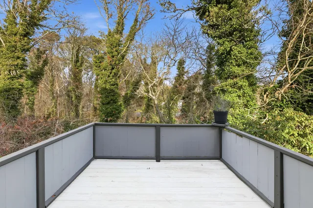 a balcony with furniture and a potted plant