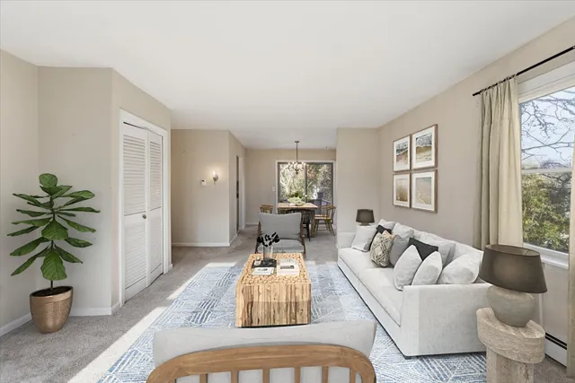 a living room with furniture and a potted plant