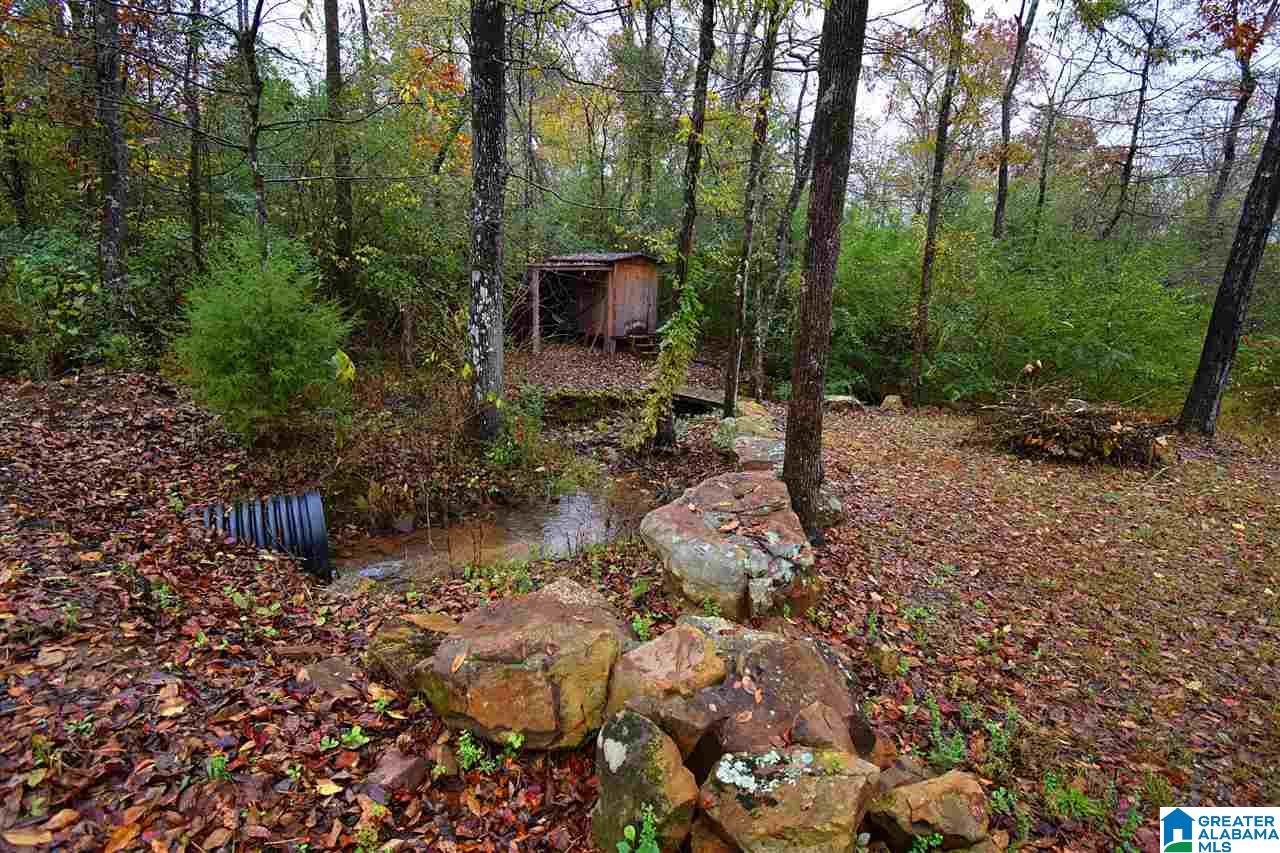 3272 Graves Gap Road Hayden, AL 35079 - Photo 27 of 34