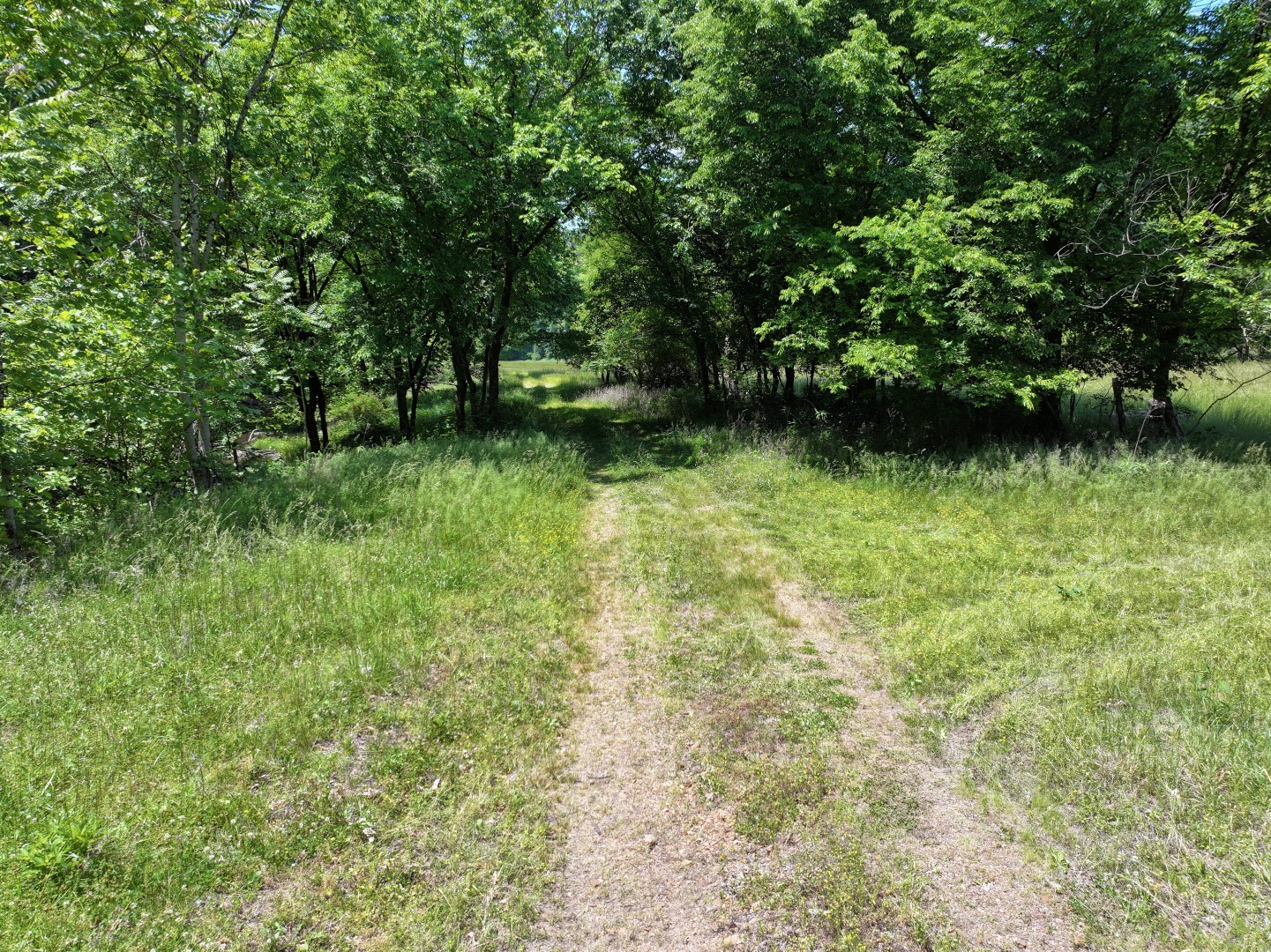 110 Wade Reed Road White Bluff, TN 37187 - Photo 43 of 80