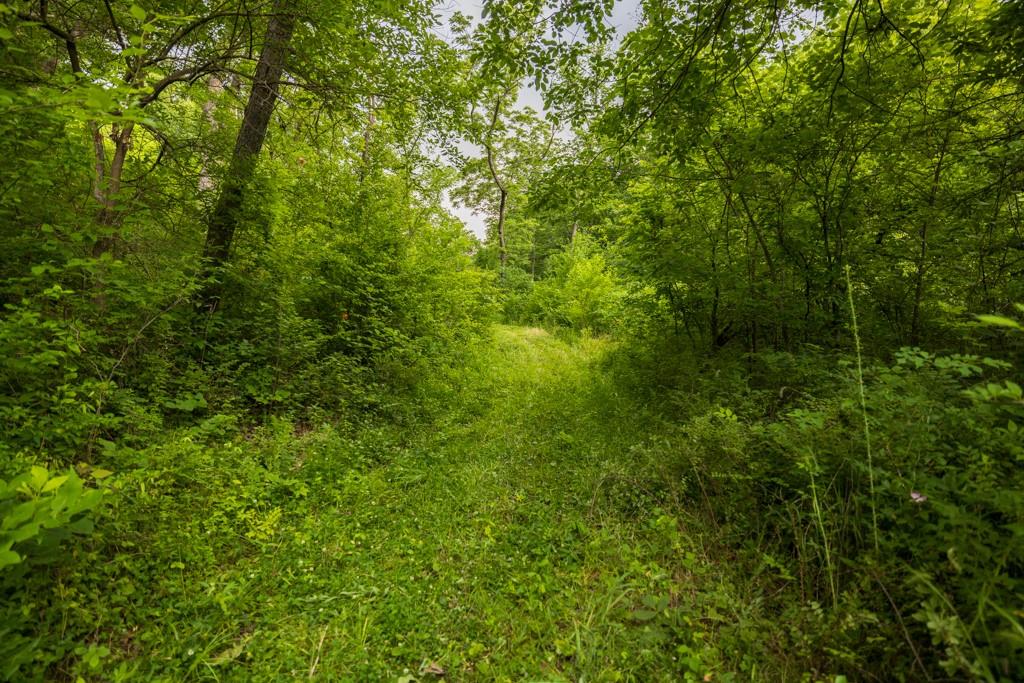 13277 Norris Road Rayville, MO 64084 - Photo 26 of 55