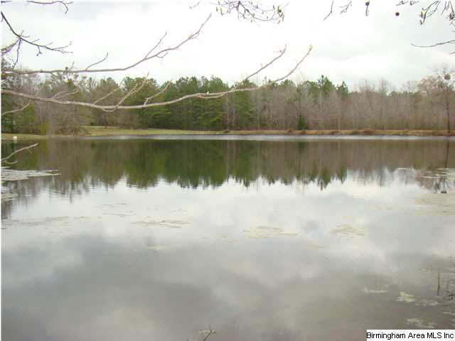 121 Fox Rdg Court Weogufka, AL 35183 - Photo 2 of 20