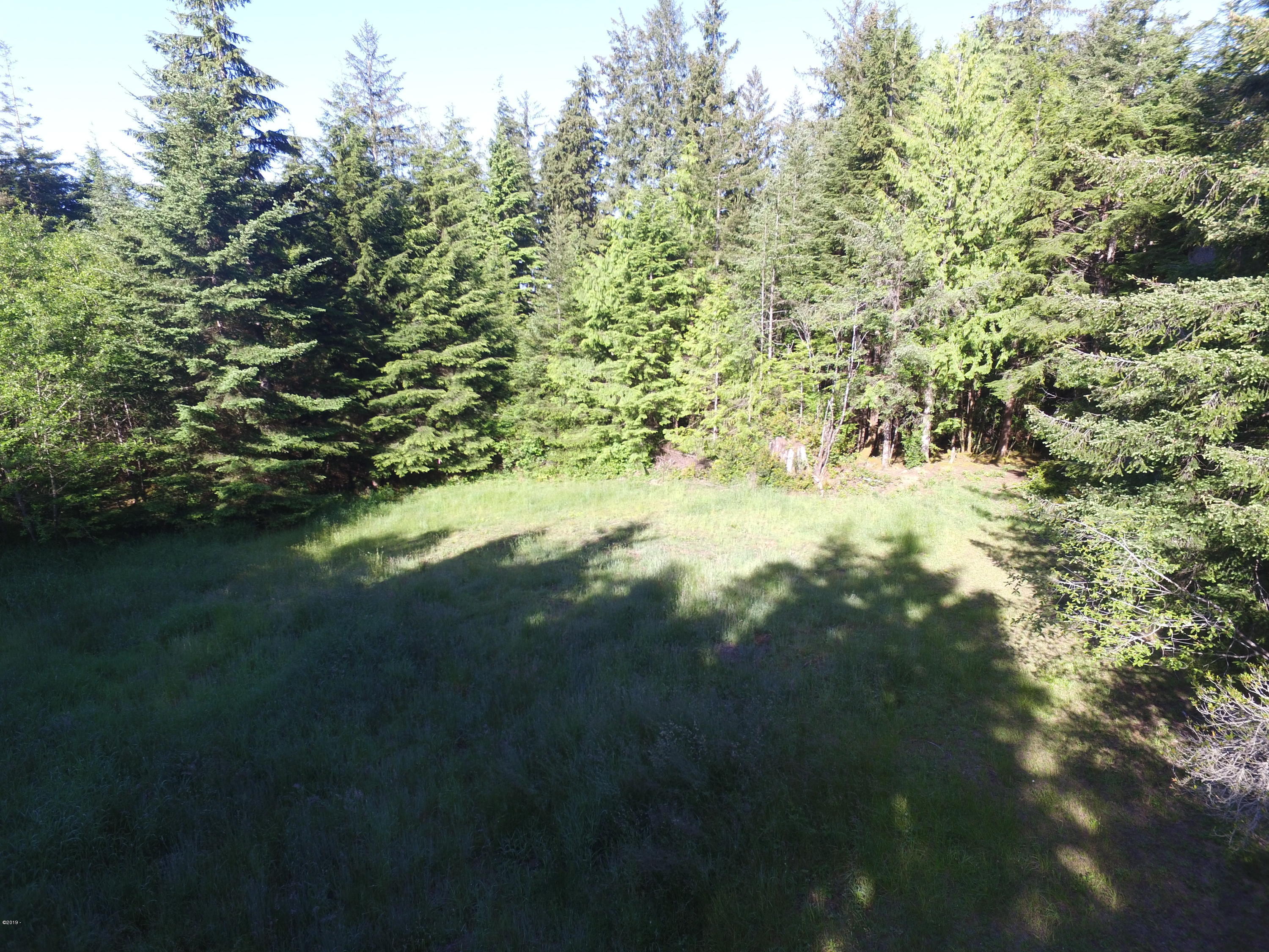1300 Wakonda Beach Road Waldport, OR 97394 - Photo 1 of 7 1300