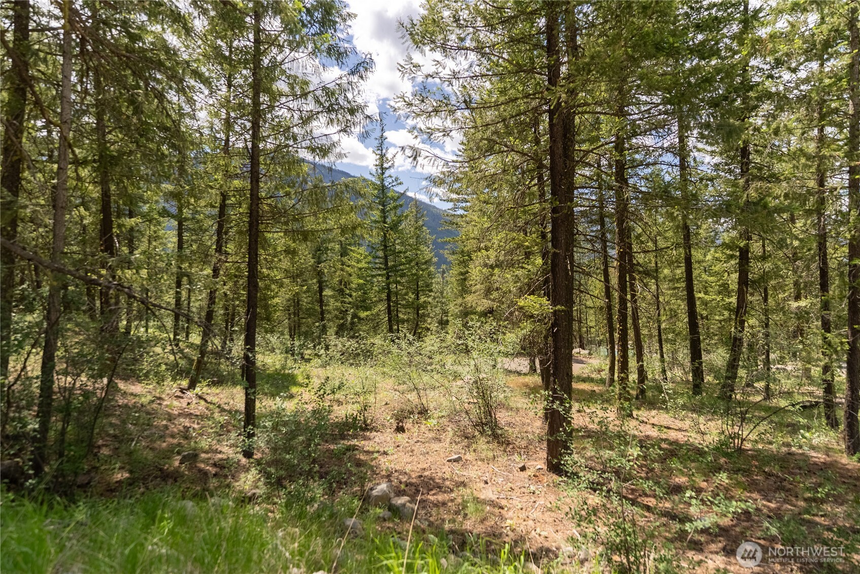 6 Homestead Road Winthrop, WA 98862 - Photo 23 of 40 a view of outdoor space and green space