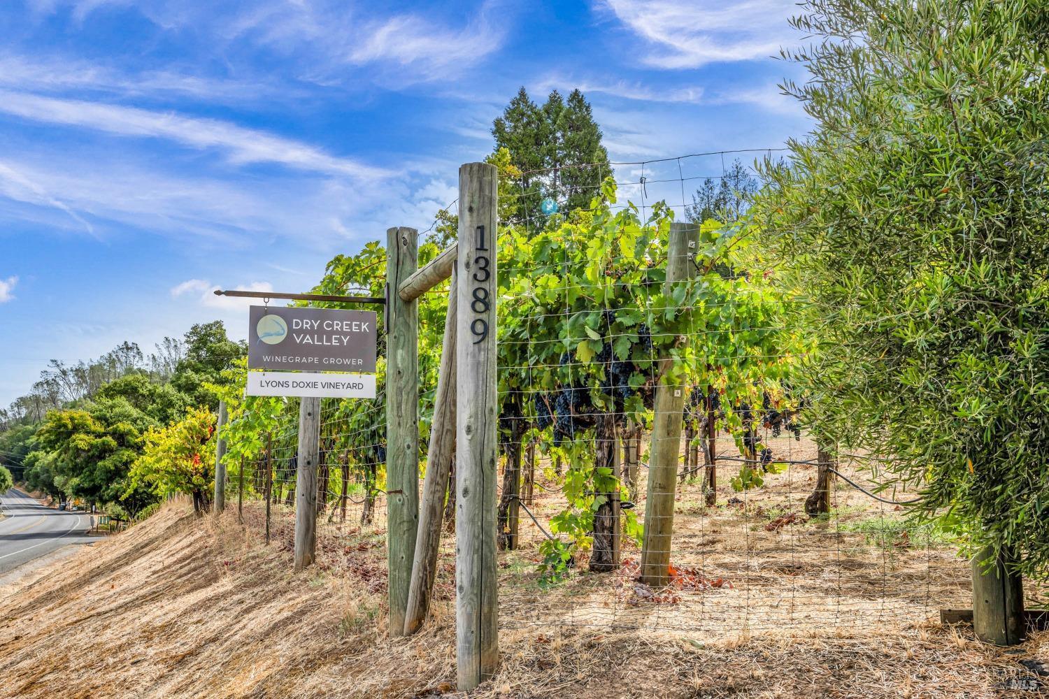 1389 Canyon Road Geyserville, CA 95441 - Photo 50 of 59 a view of a yard with plants and trees