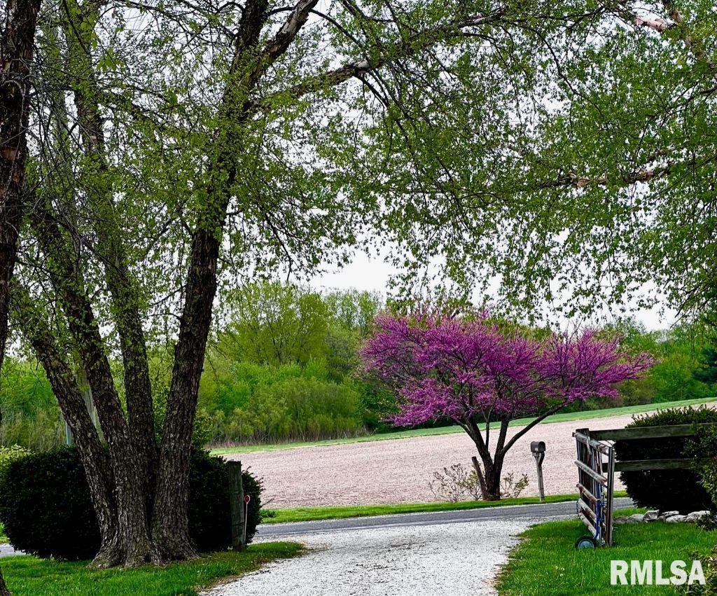 3287 County Road 2 3/4 A Springfield, IL 62712 - Photo 3 of 53