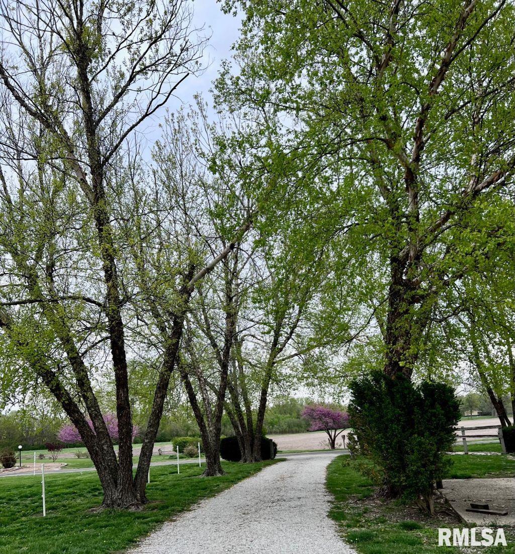 3287 County Road 2 3/4 A Springfield, IL 62712 - Photo 4 of 53