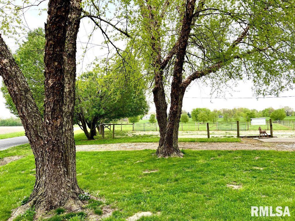 3287 County Road 2 3/4 A Springfield, IL 62712 - Photo 5 of 53